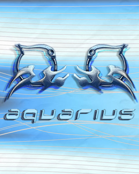 Aquarius Zodiac Hoops